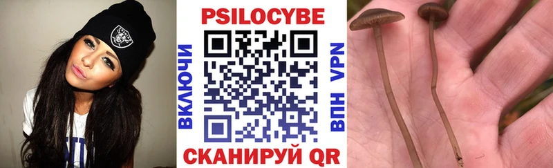 Псилоцибиновые грибы MAGIC MUSHROOMS  сколько стоит  Белгород 
